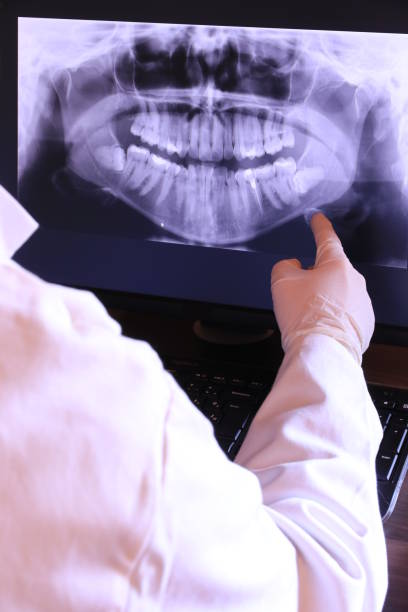 Best Emergency X-Rays and Diagnostics in Port Norris, NJ