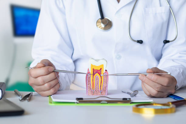 Best Emergency Orthodontic Repairs in Port Norris, NJ